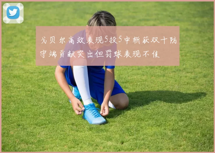 戈贝尔高效表现5投5中斩获双十防守端贡献突出但罚球表现不佳